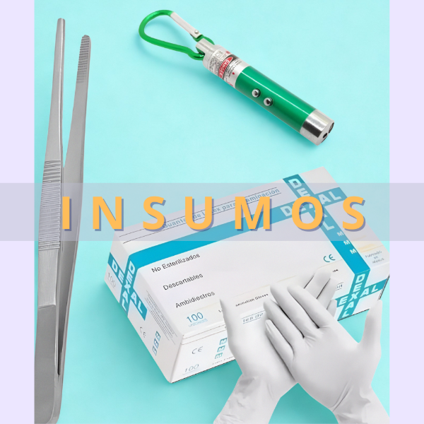 Insumos