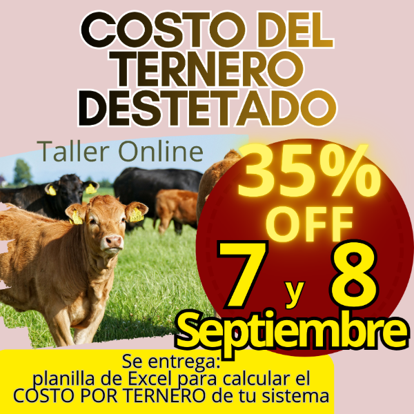 Producto - Taller Online: Cálculo del Costo del Ternero - 0