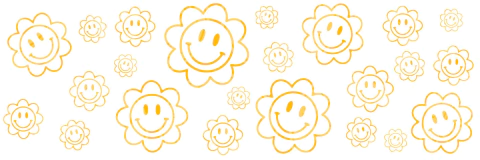 Producto - Flor sonrisa