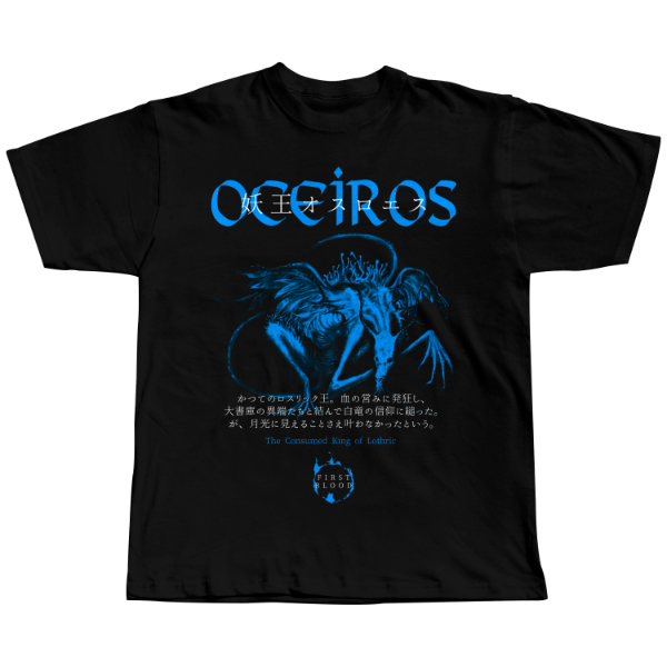 REMERA "DARK SOULS OCEIROS" ON-DEMAND