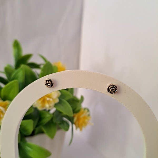 Producto - Aros Pasante Rosita