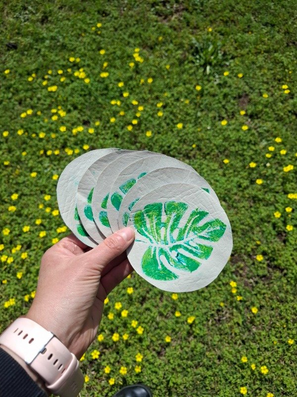 Producto - Posavasos monstera - 0