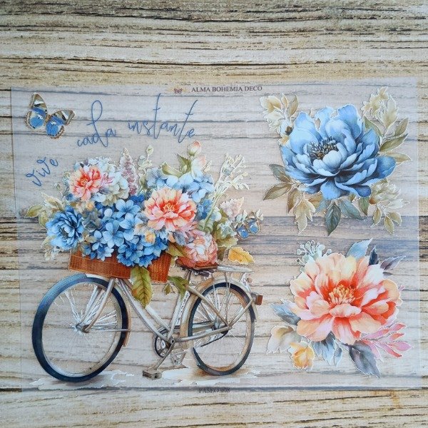 Producto - Transfer Termoactivo 23X19CM PASEO008