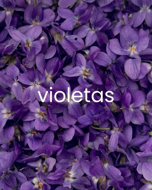 Producto - Esencia Violetas