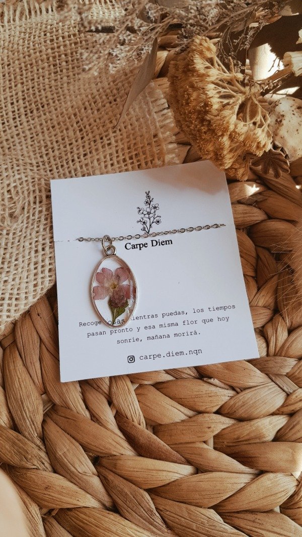 Producto - Collar Jacinto