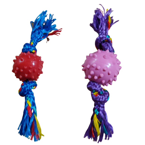 Producto - Pelota Mini Con Soga Y Puas Para Perros Pequeños Dental - 3