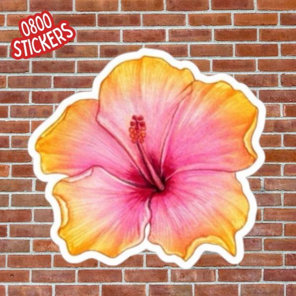 Producto - Flor de hibiscus I - GV162