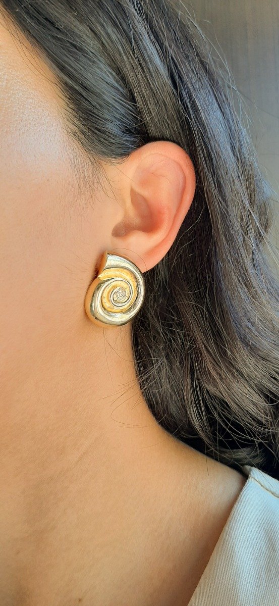 Producto - Aro caracol