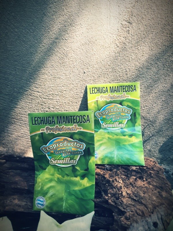Producto - Lechuga Mantecosa Semillas