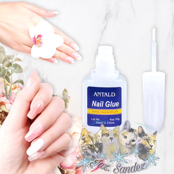 Producto - GLUE CON BROCHA