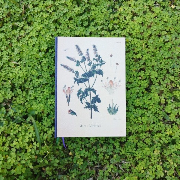 Producto - Menta