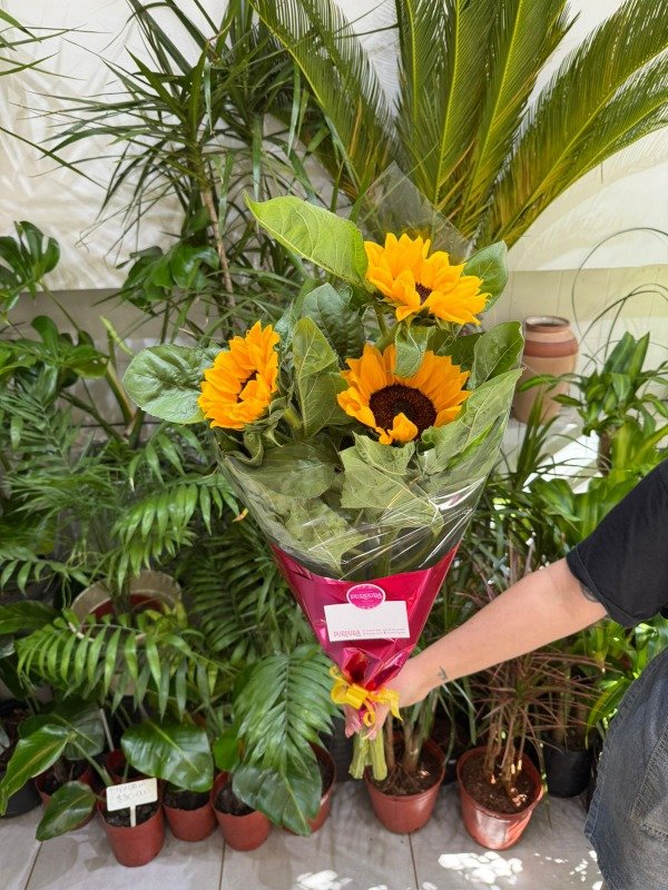 Producto - RAMO GIRASOLES CHICO