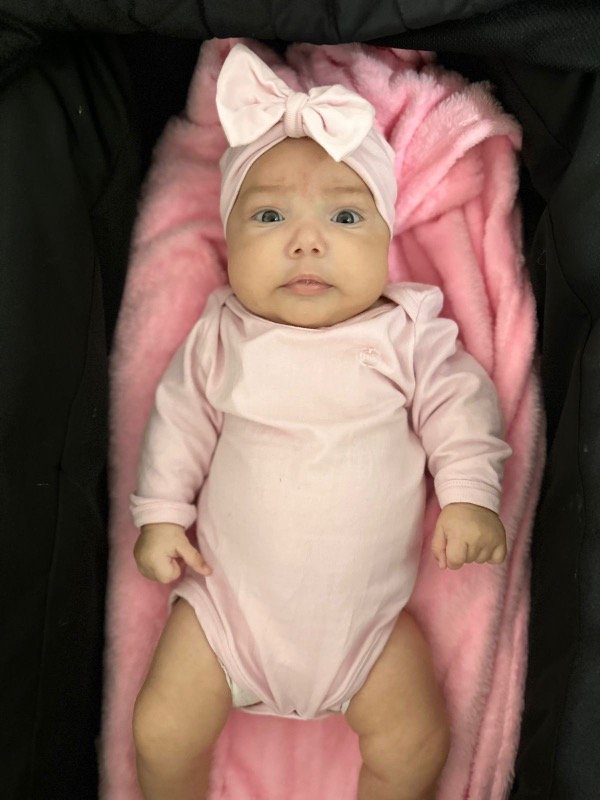 Producto - Body Francine rosa