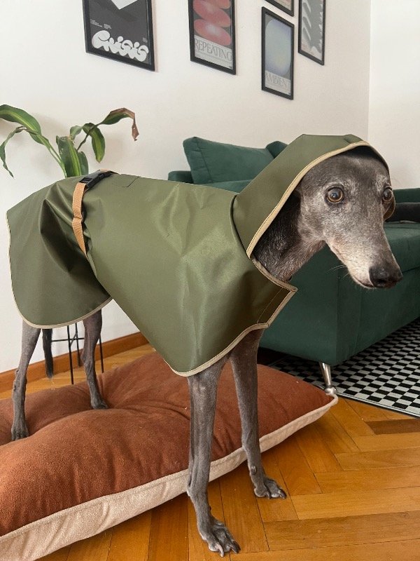 Producto - Piloto verde