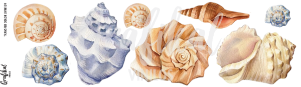 Producto - TransferColorUV M160