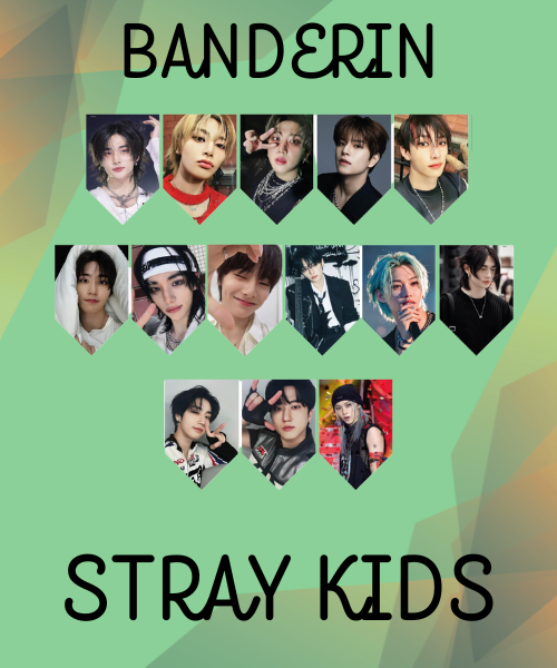 Producto - Banderin Stray Kids