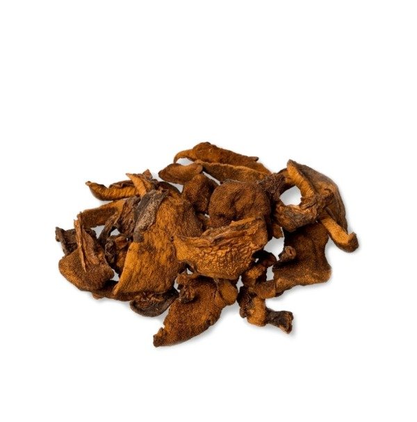 Producto - hongos de pino