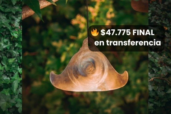 Producto - Campana Birmana Tornasol 17 cm Aguda