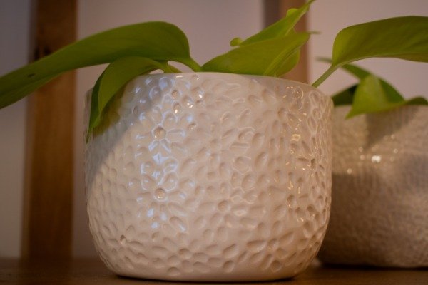 Producto - Maceta flores