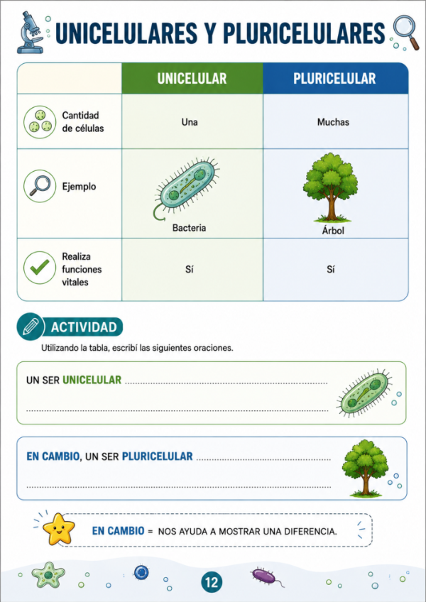 Producto - Vida de los Microorganismos - 10