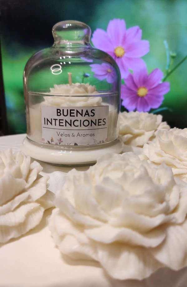 Producto - ANASTASIA