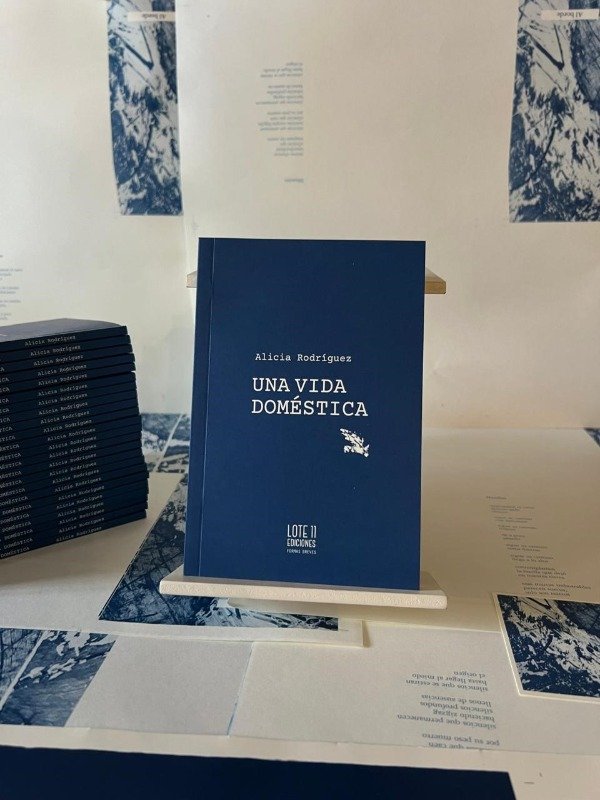 Producto - Una vida doméstica de Alicia Rodríguez