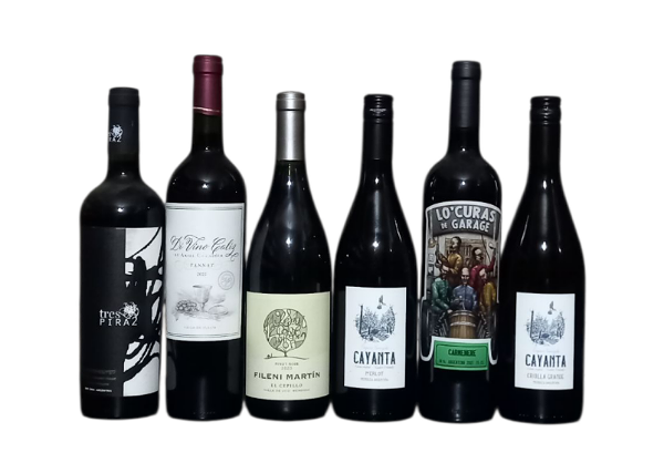 Producto - Promociones - MIX DE TINTOS 2