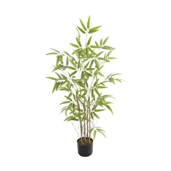 Producto - BAMBOO 120CM