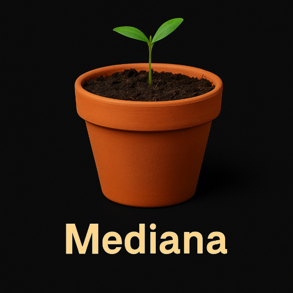 Producto - Plantín maceta mediana (1 L)