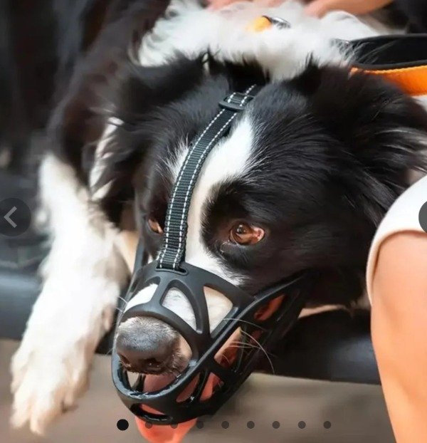 Producto - Bozal ergonómico