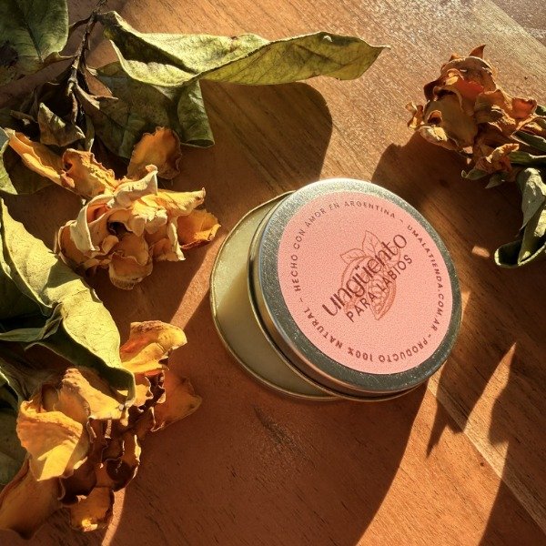 Producto - Ungüento para Labios
