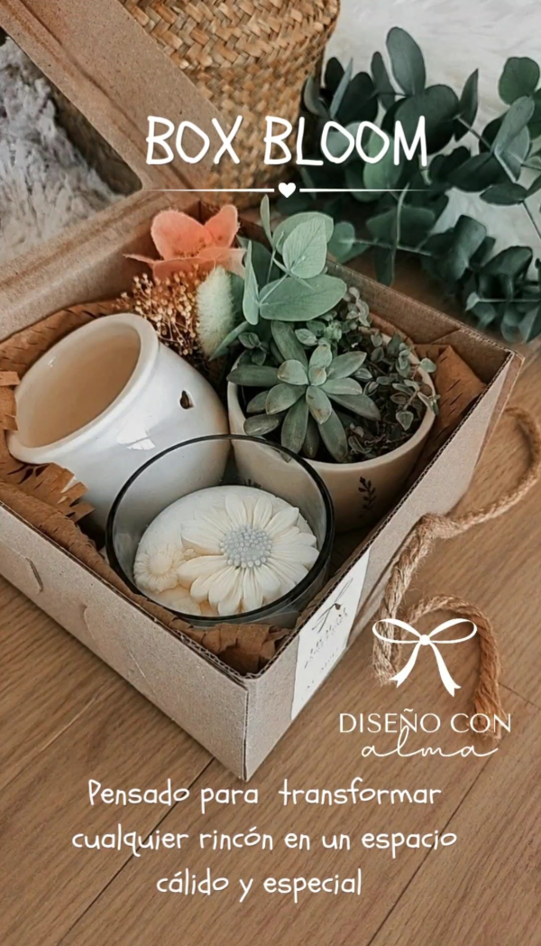 Producto - BOX BLOOM