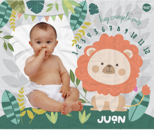 Producto - Lonita de crecimiento Leon