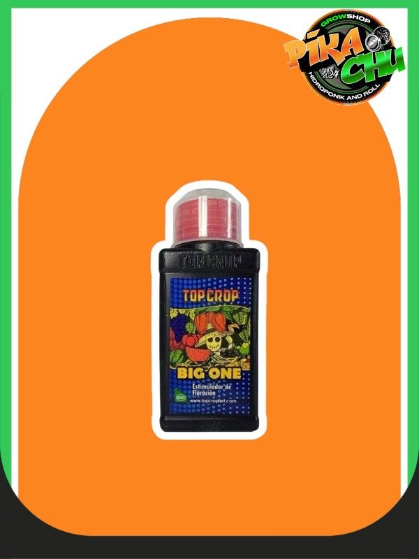Producto - Big One 100ml