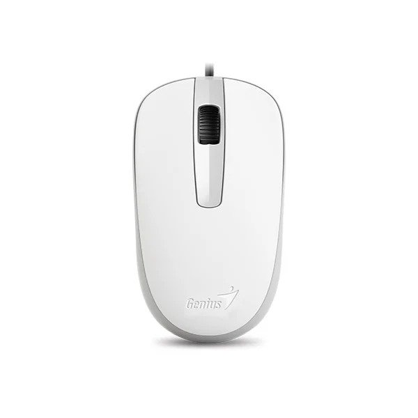 Producto - MOUSE GENIUS DX-120