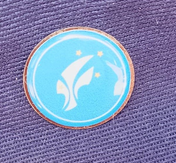 Producto - Pin  Flor de Lis Scouts de Argentina