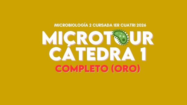Producto - MICRO 2 CÁTEDRA 1 ORO (completo)