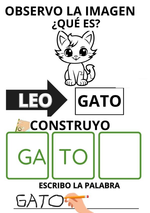 Miniatura de producto - 11