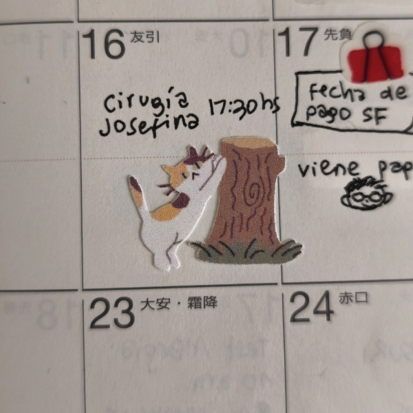 Miniatura de producto - 6