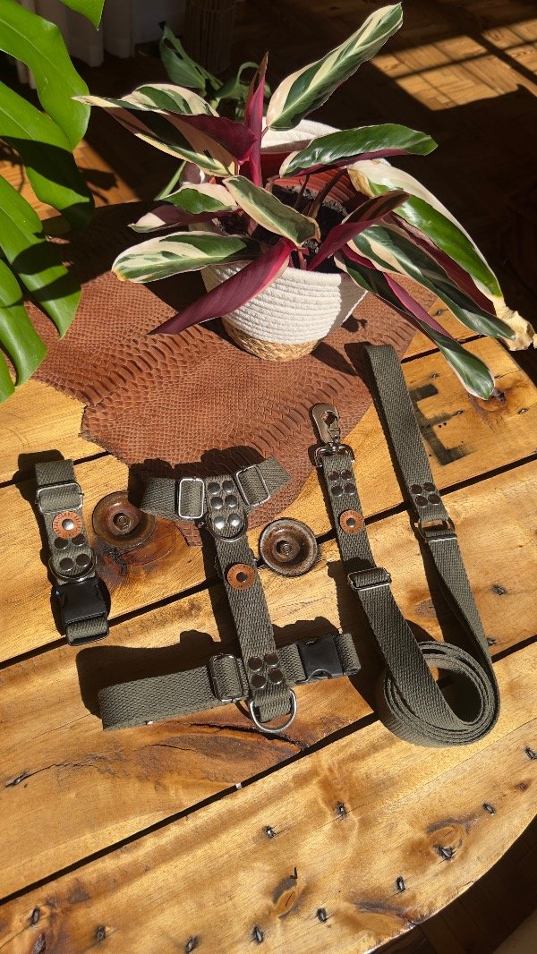 Producto - Combo Confort Militar