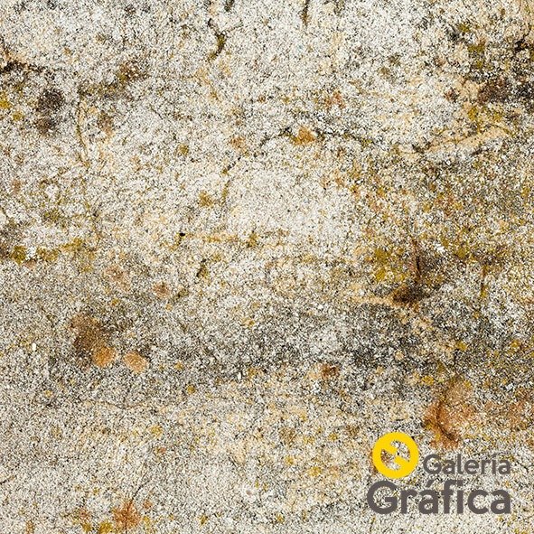Producto - Textura FP 36