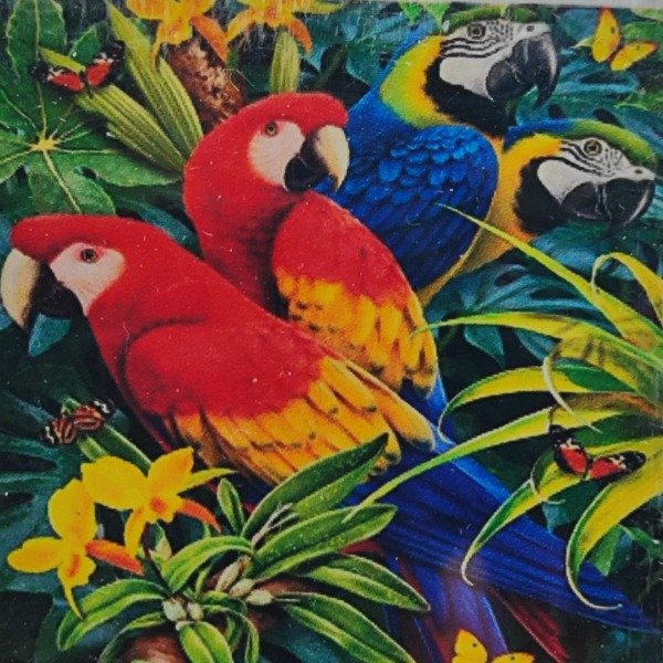 Producto - DIAMOND PAINTING 30X30 HI STONE GUACAMAYOS ROJOS Y AZULES