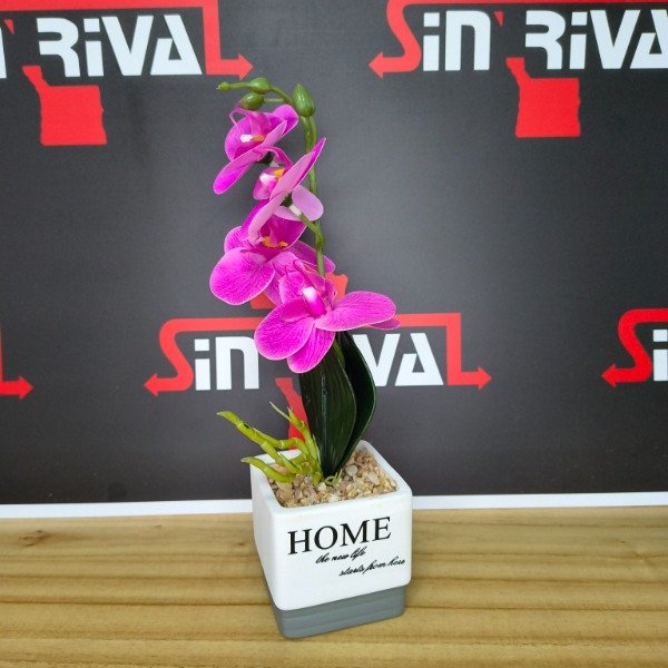 Producto - FLORES EN MACETA 9461 / 9464