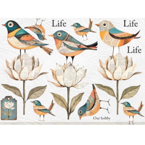 Producto - Pajaros 239