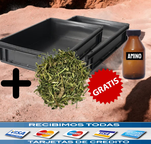 Producto - COMPRANDO 2 BAÑERAS  +  1KILO DE ORTIGA TE LLEVAS DE REGALO UN AMINO