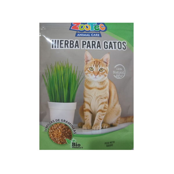 Producto - Hierba para gatos-semillas