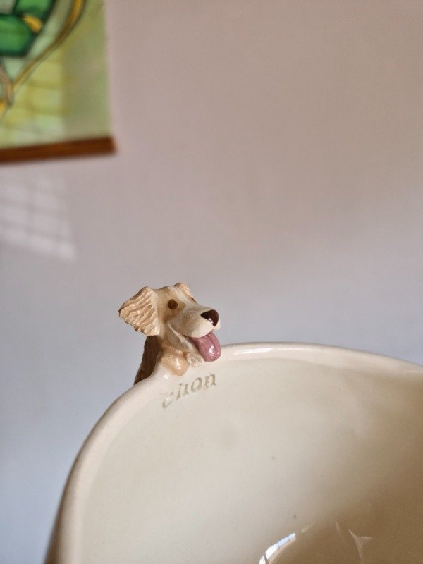 Producto - Taza de animales asomado (personalizado)