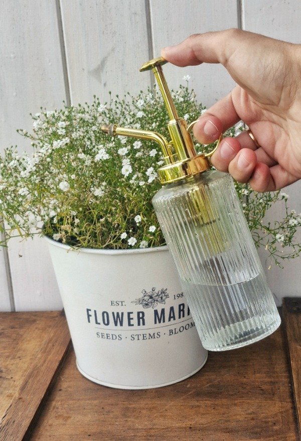 Producto - Rociador de plantas y flores