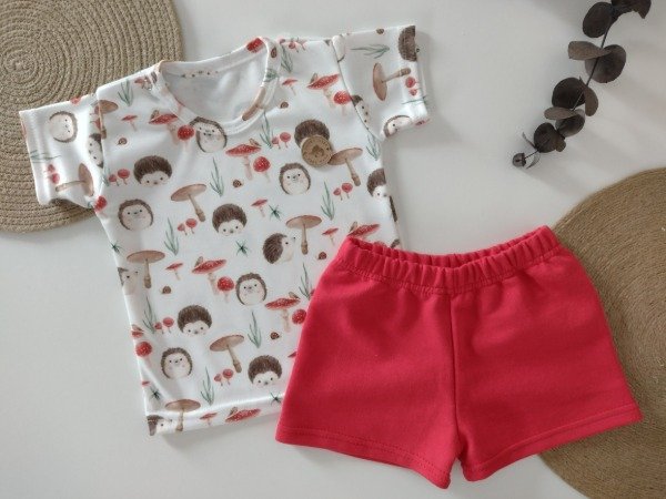 Producto - Conjunto: Erizos