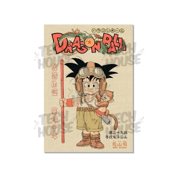 Producto - Dragon Ball - Cuadro 2